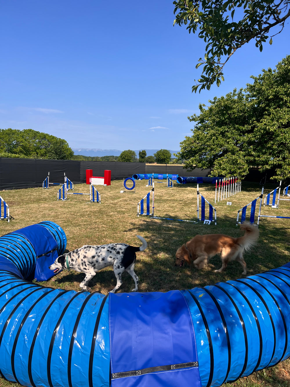 The park in the photo