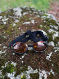 Lunette chien XL
