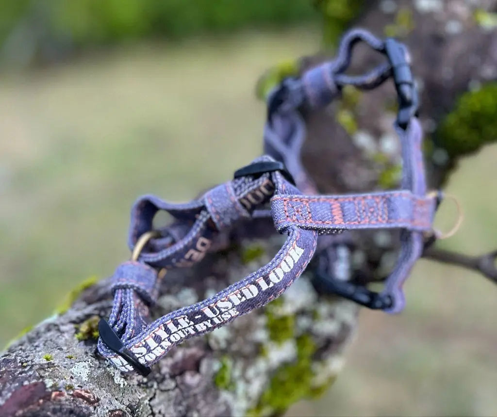 Harnais H Denim, photo 2