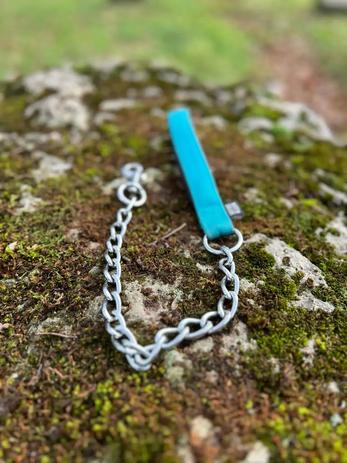 Laisse courte bleue