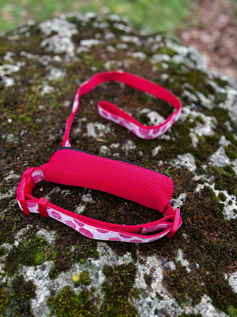 Collier avec laisse intégrée, photo 2