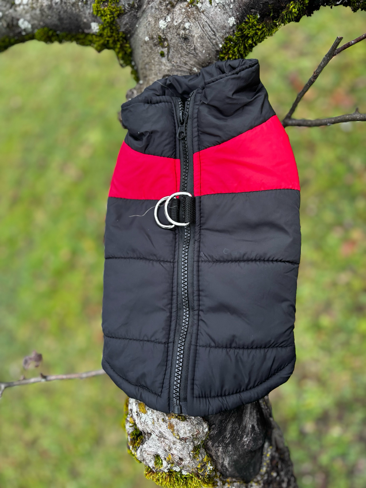 Manteau S