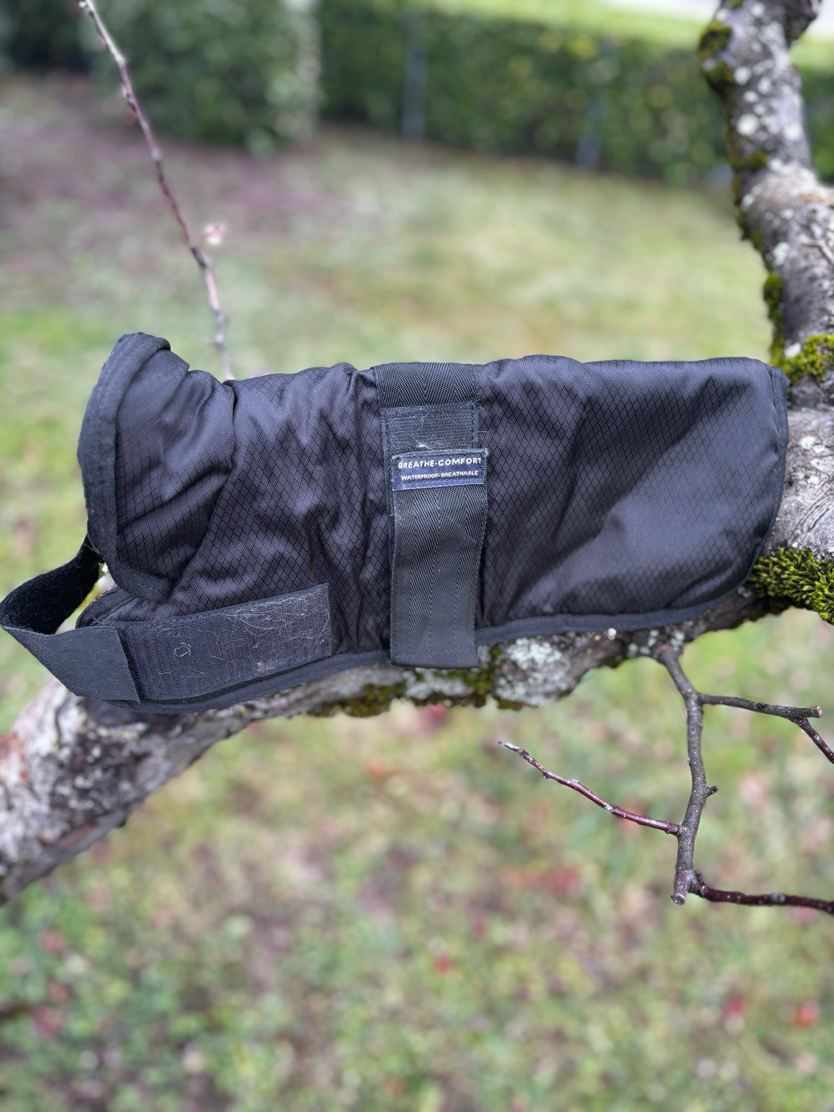 Manteau SM