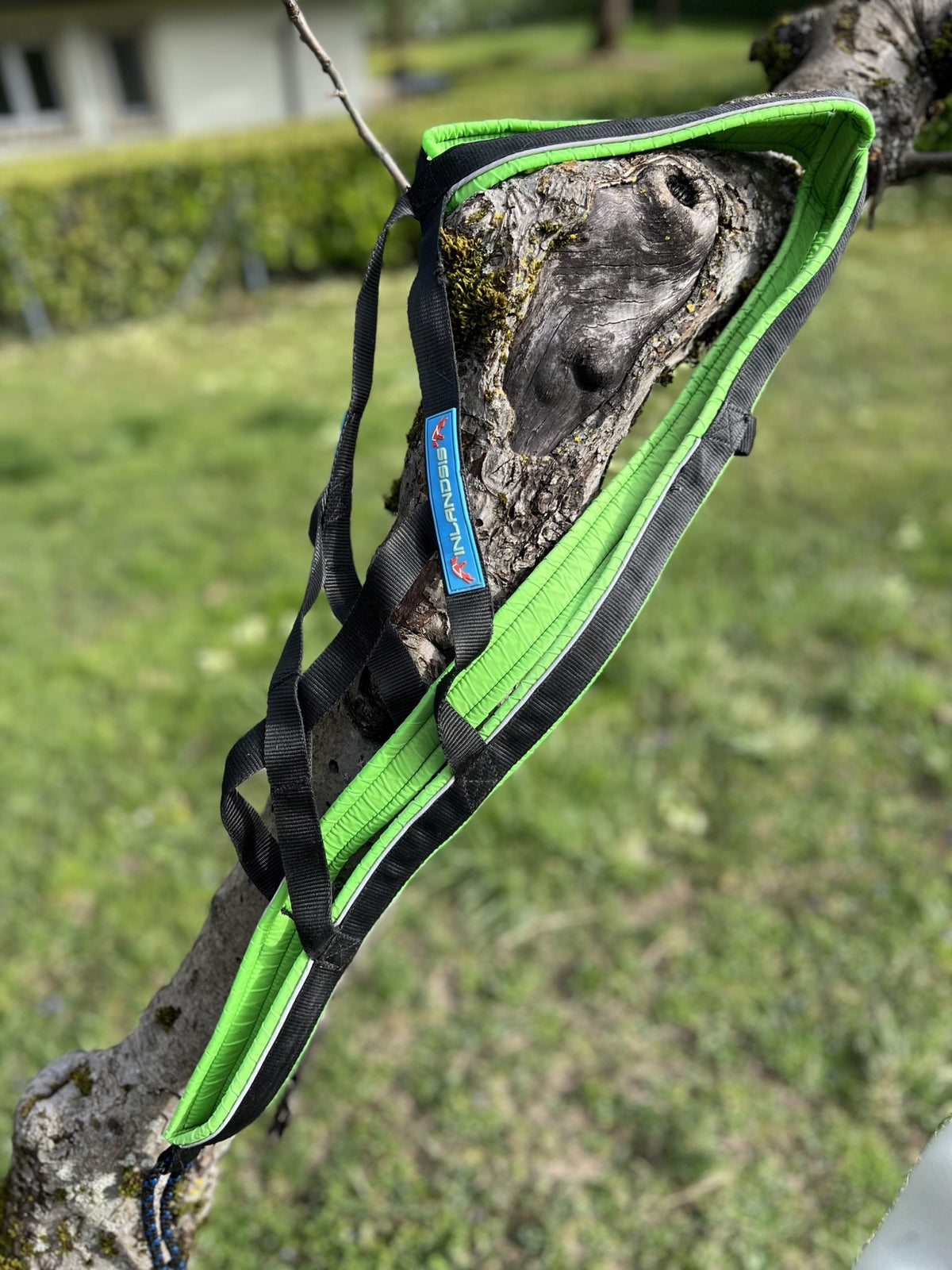 Harnais traction 31-34kg