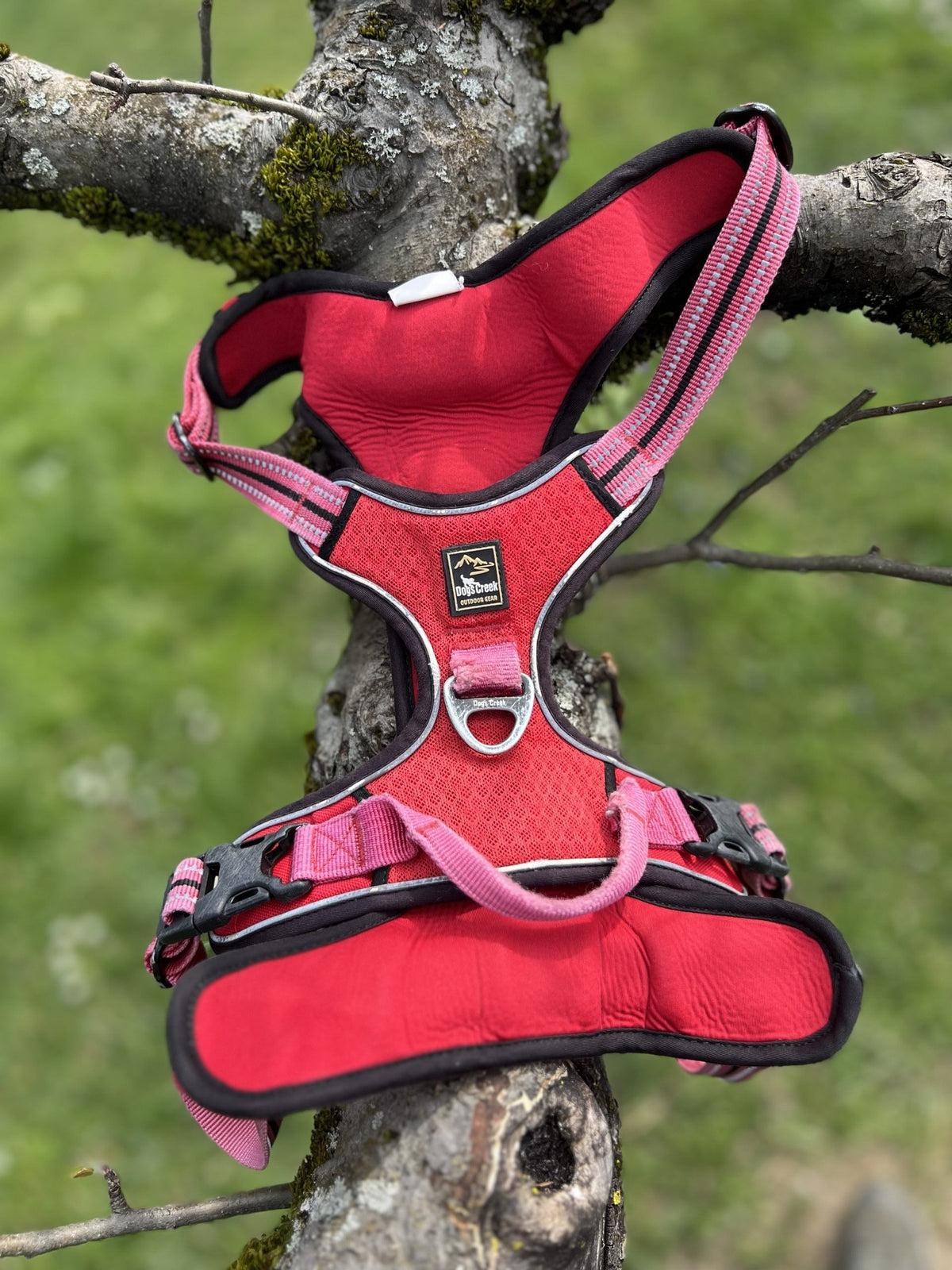Harnais dogs creek XL