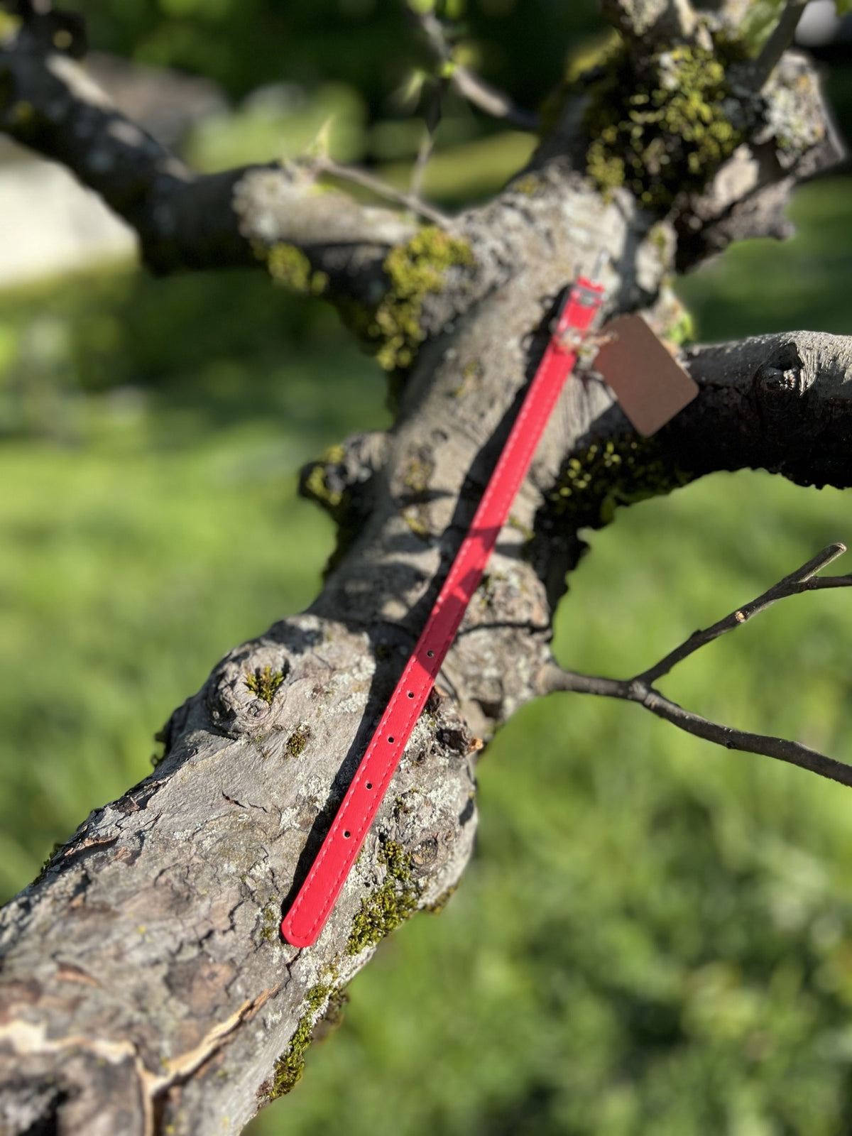 Collier rouge 18-26cm