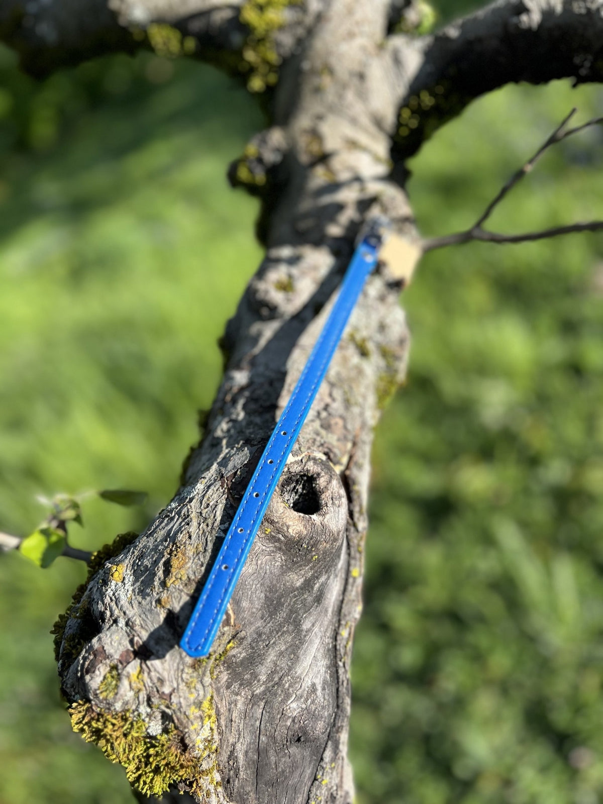 Collier bleu  18-26cm