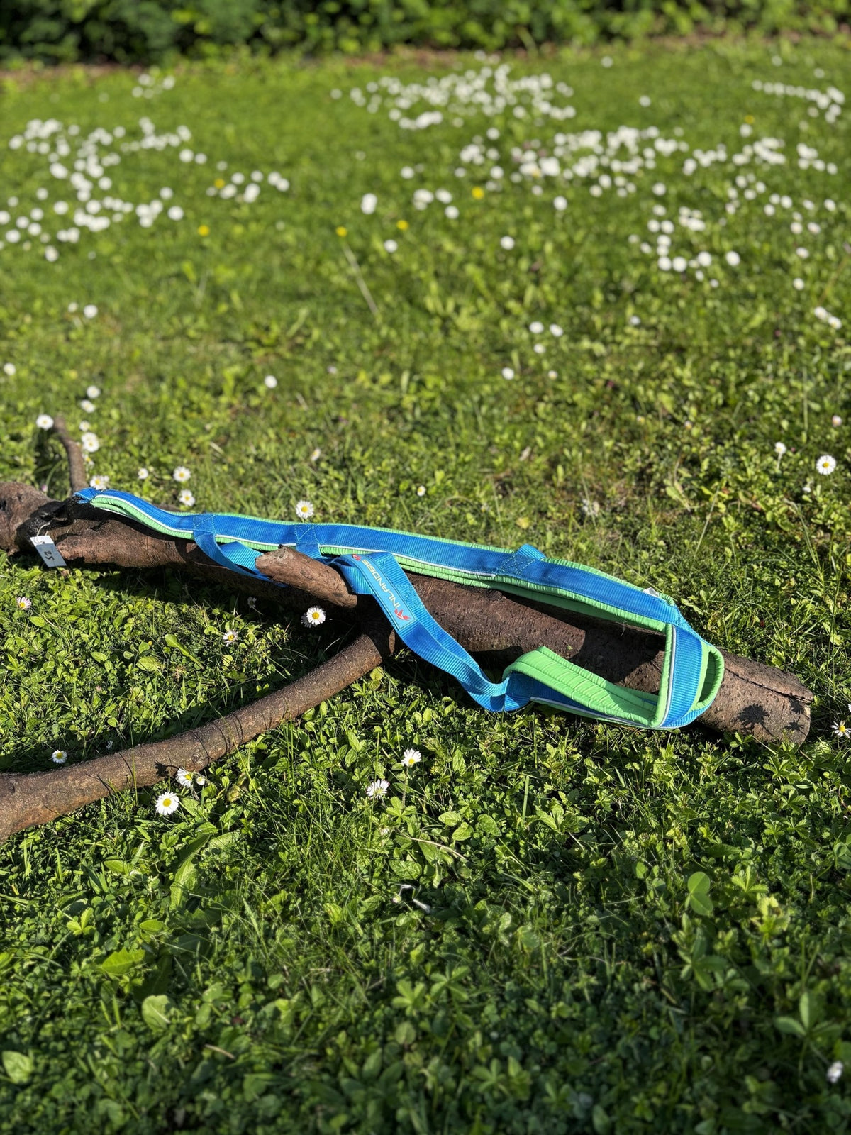 Harnais traction 22 - 25kg