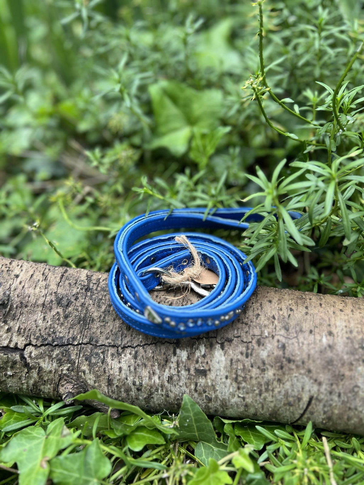 Laisse cuir bleu avec strass