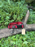 Collier AniOne 42-65cm