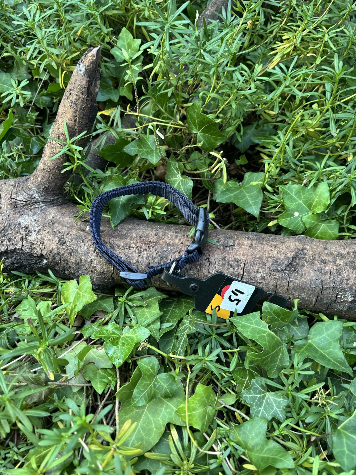 Collier bleu marine 28-43cm