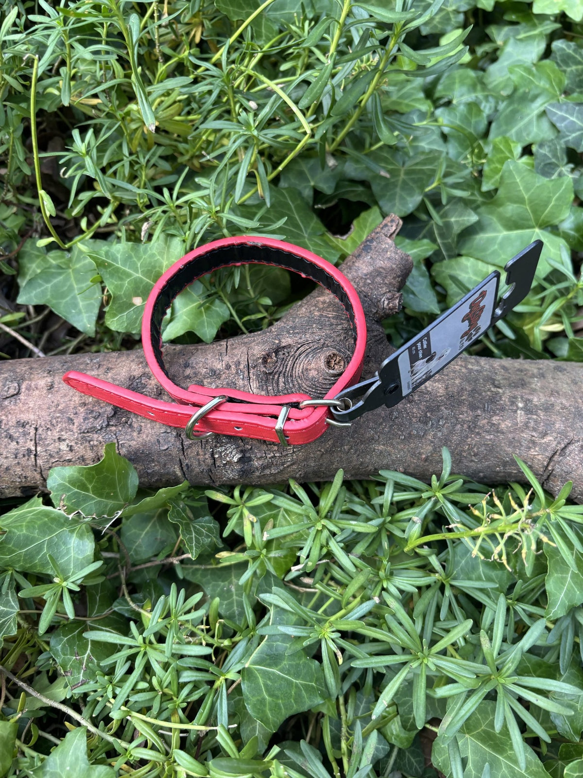 Collier rouge 27-34cm