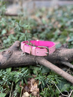 Collier cuir 30-45 cm