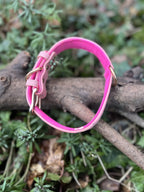 Collier cuir 30-45 cm, photo 2