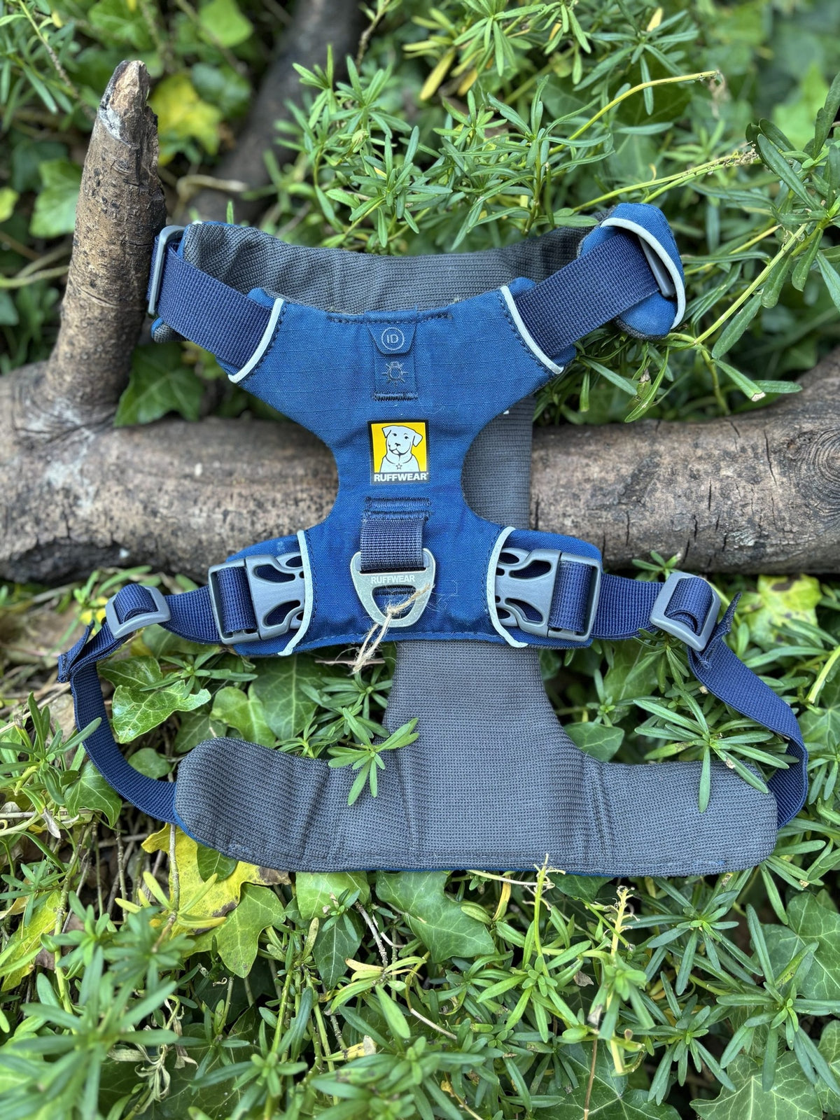 Harnais Ruffwear S Front Range