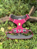 Harnais Ruffwear S Front Range