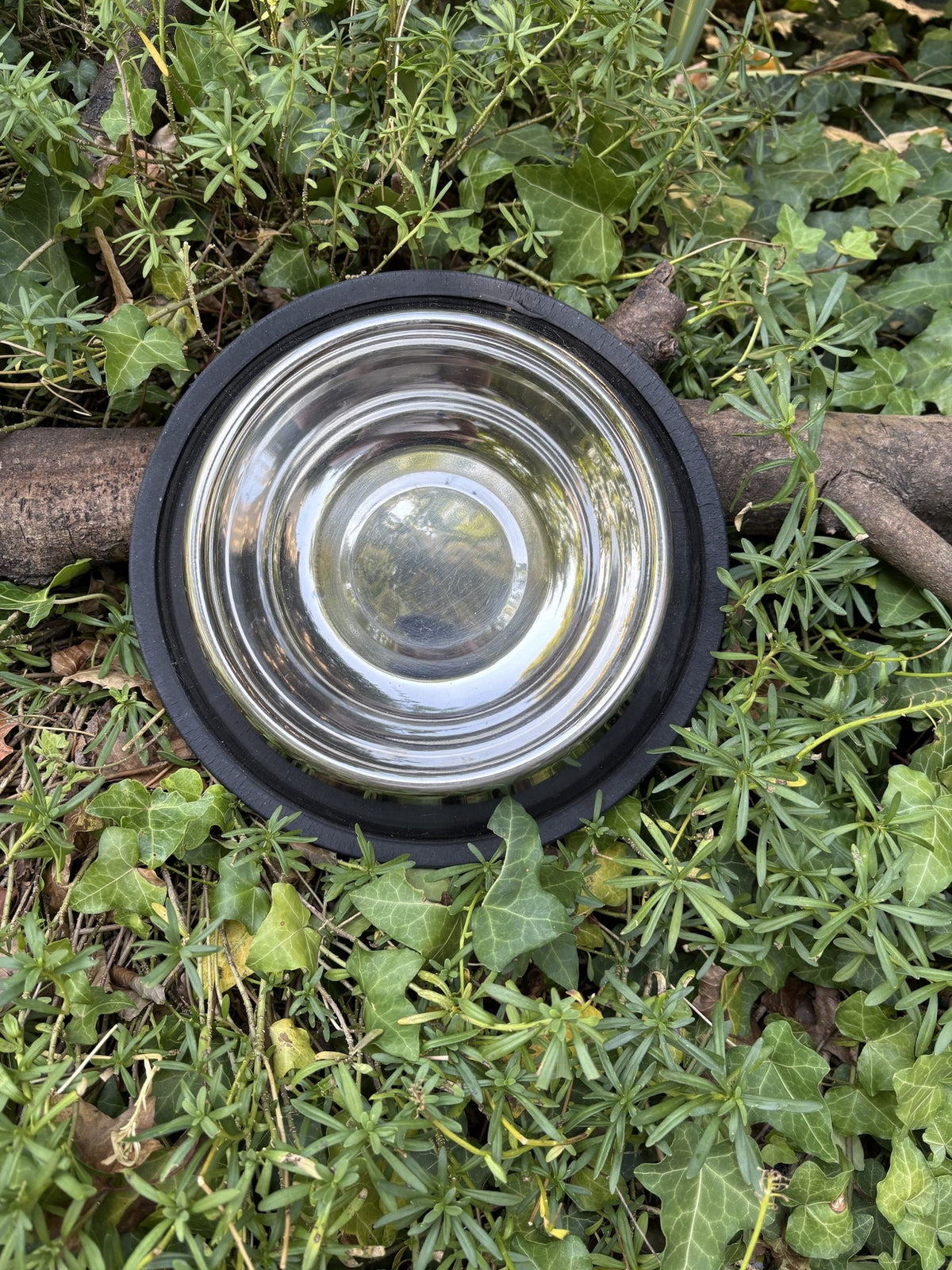 Gamelle inox 25cm