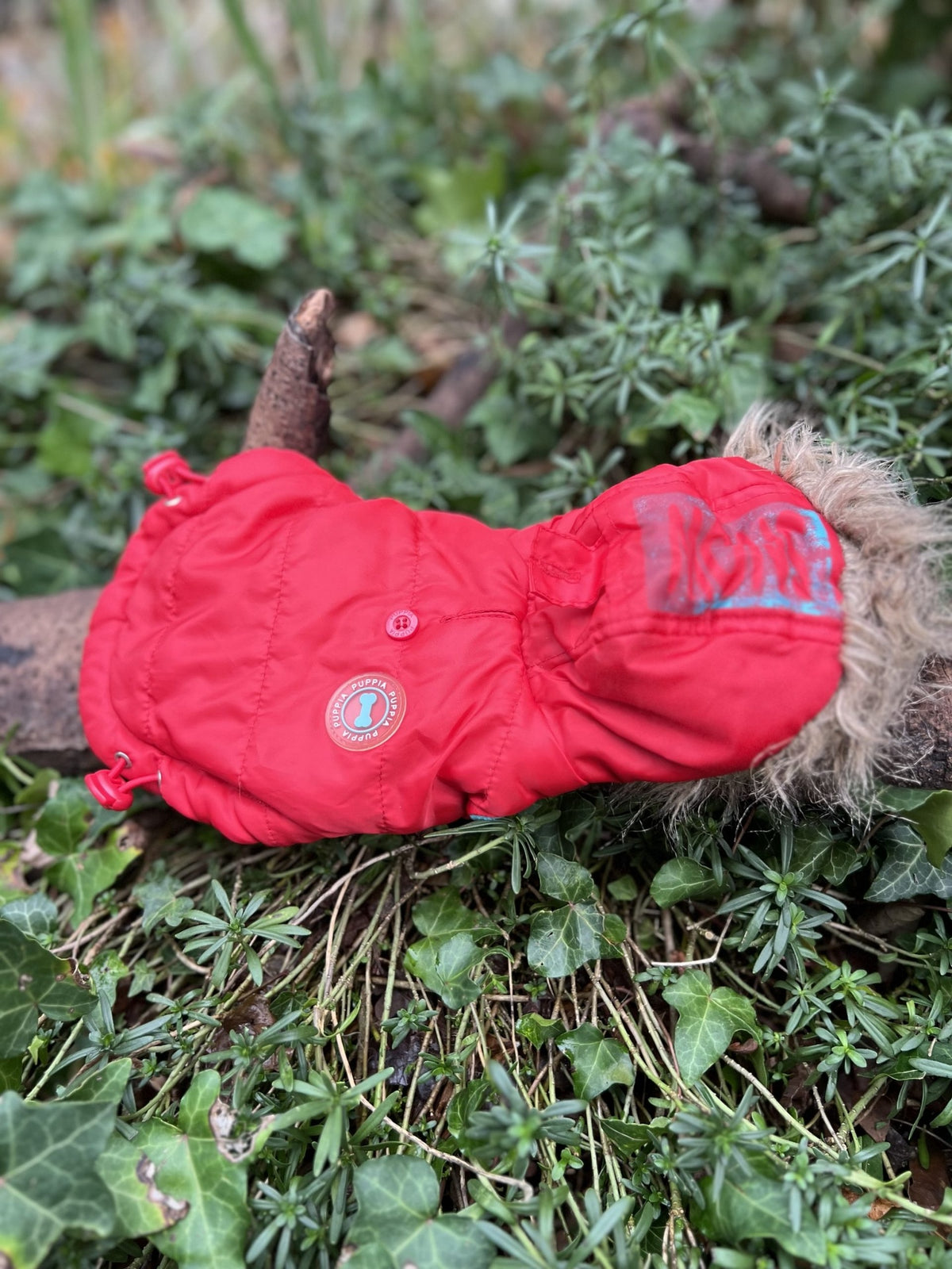 Manteau rouge XS