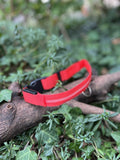 Collier lumineux rouge 33-46cm