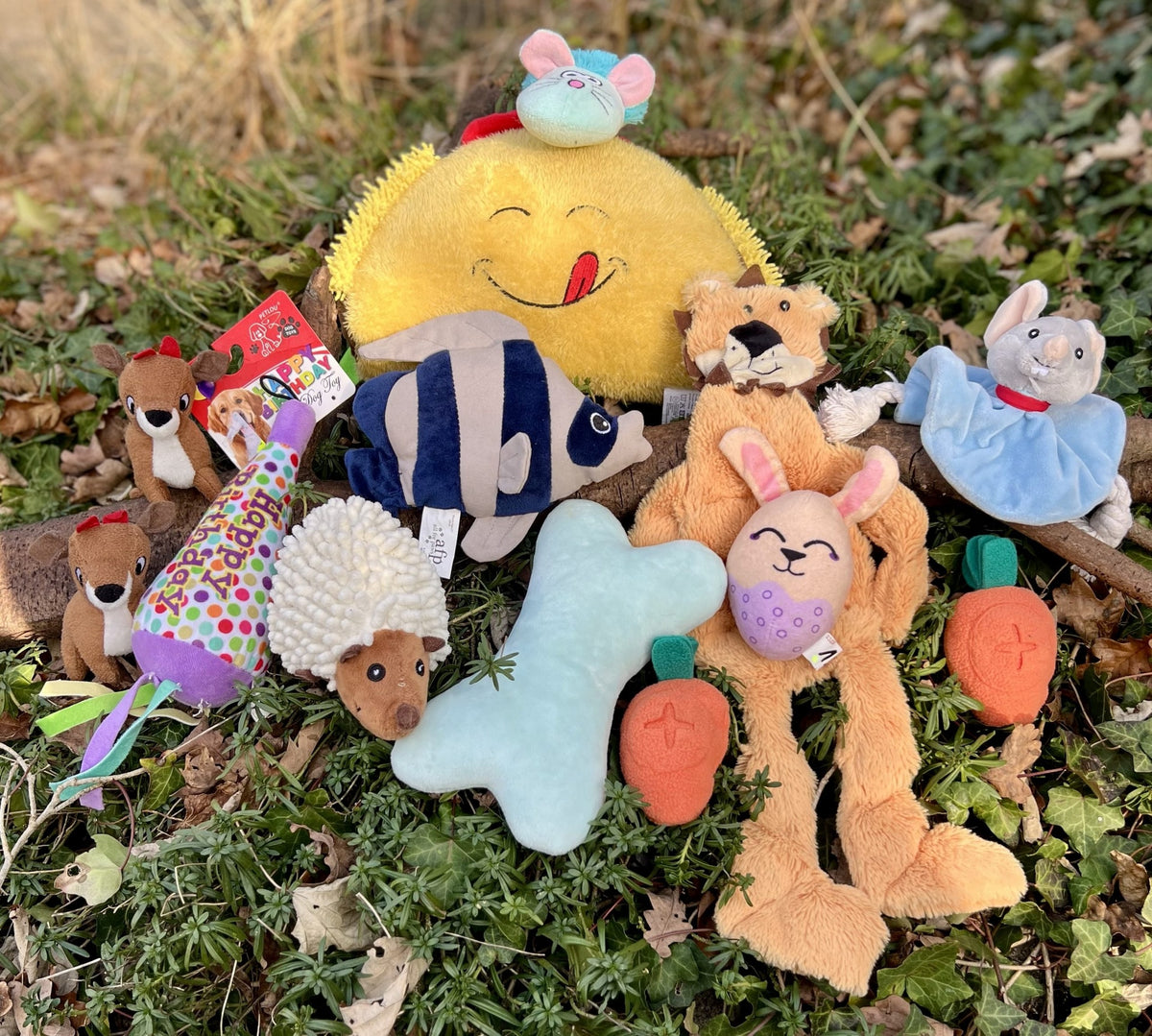 🐶 Box Avantage Peluches