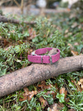 Collier Biothane 32 - 39 cm