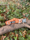 Collier Dog Copenhagen 50 - 66cm