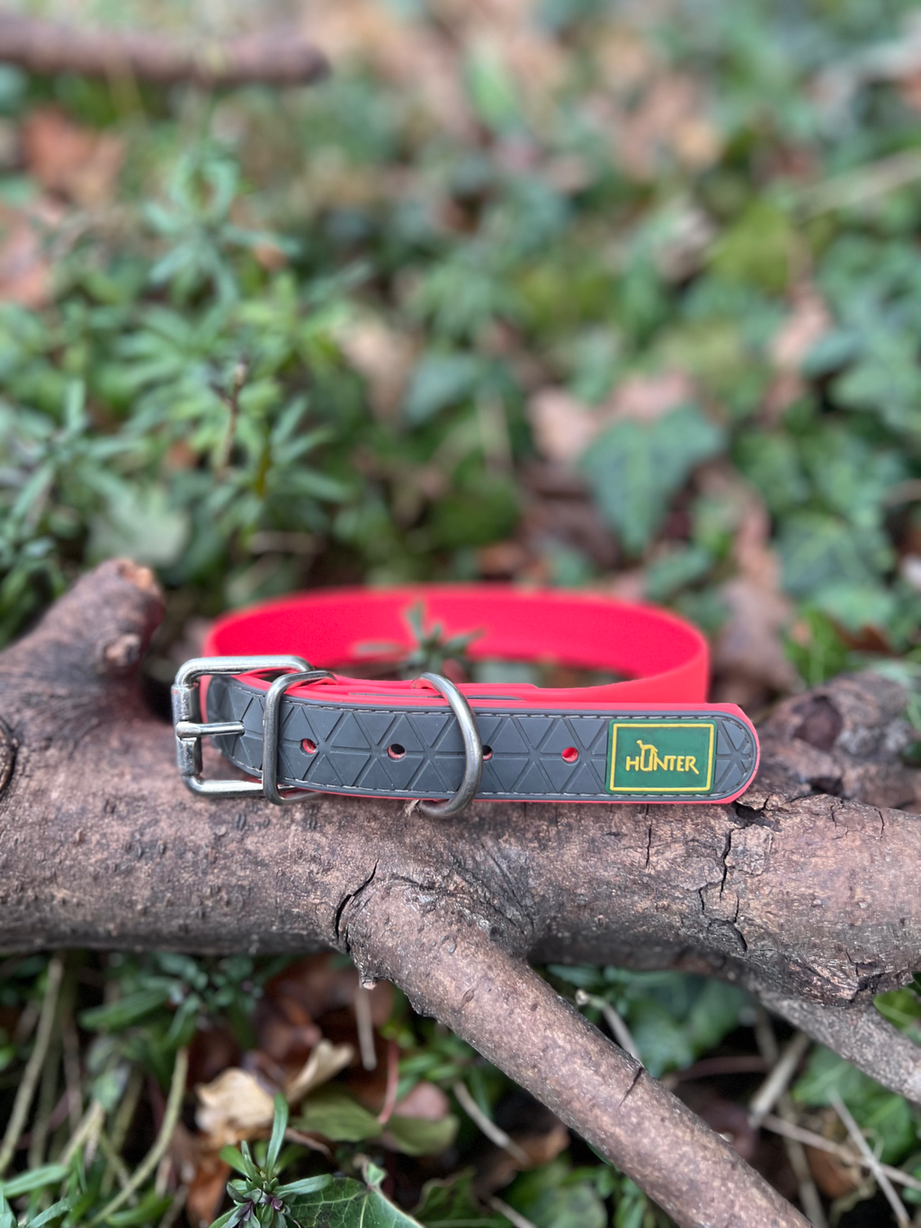Collier TPU 43 - 51cm Hunter