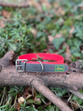 Collier TPU 43 - 51cm Hunter
