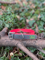 Collier TPU 43 - 51cm Hunter