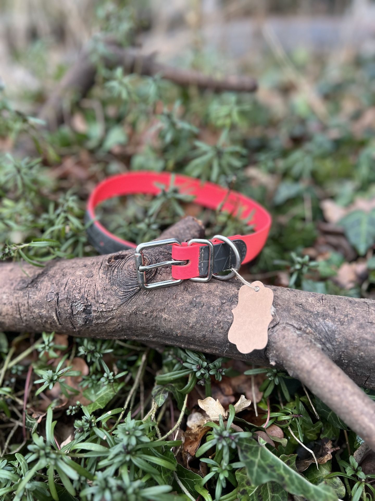 Collier TPU 43 - 51cm Hunter, photo 2