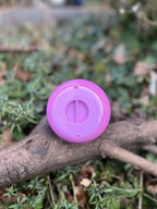 Pipolino rose, photo 2