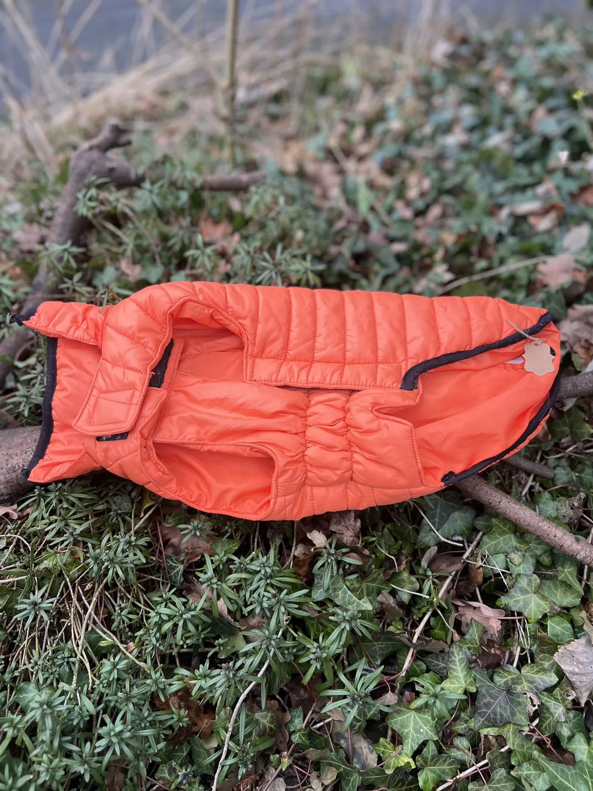 Manteau Bobby M, photo 2