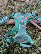 Ensemble PawStory L/XL, photo 2