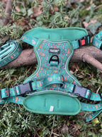 Ensemble PawStory L/XL, photo 5