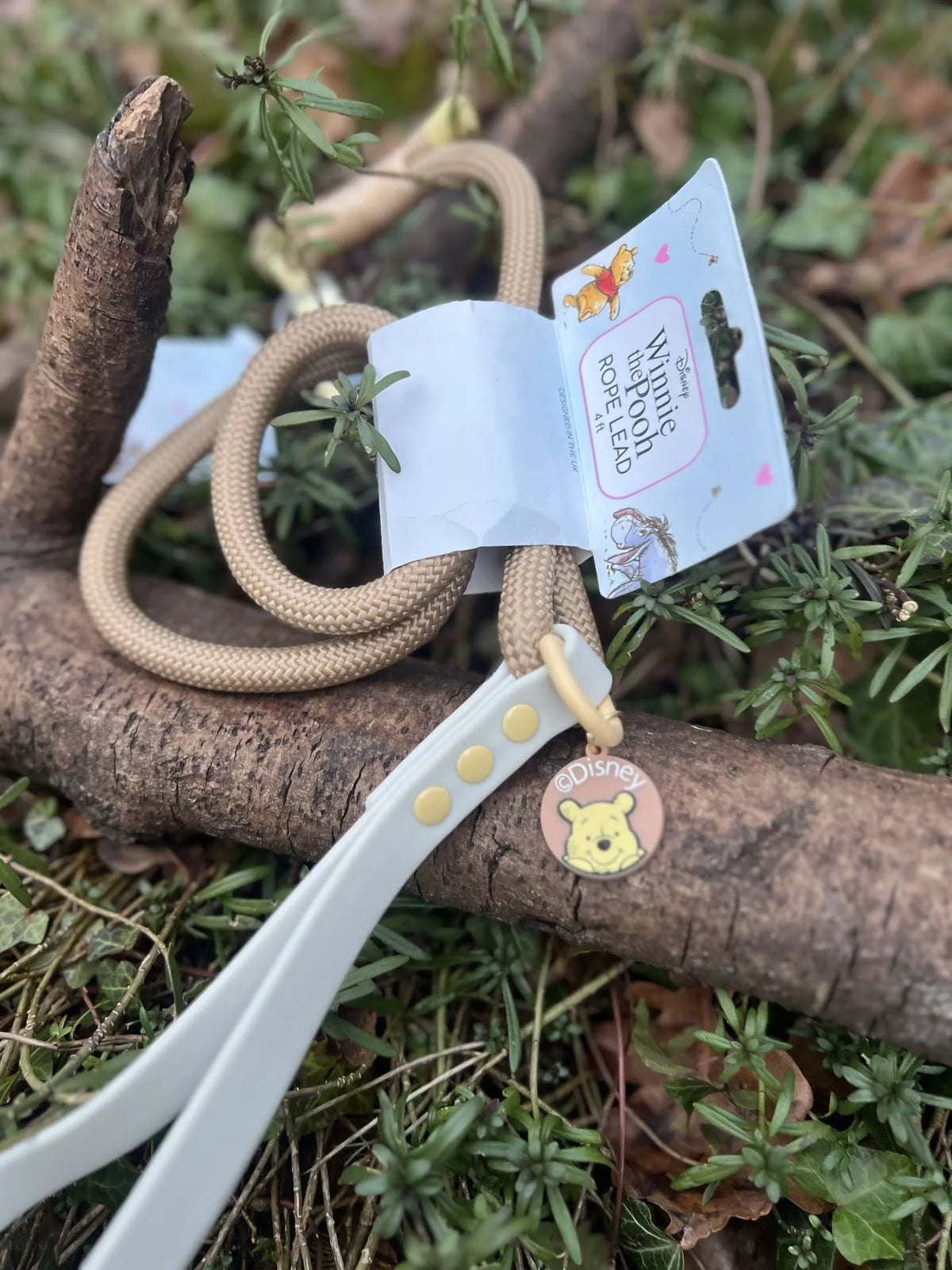 Laisse corde Winnie The Poo 120cm, photo 2