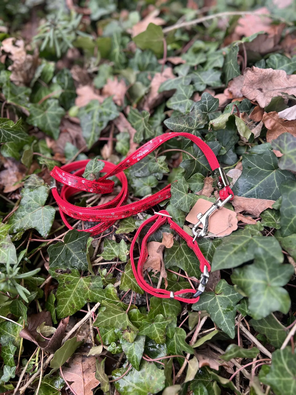 Ensemble 21 - 31 cm