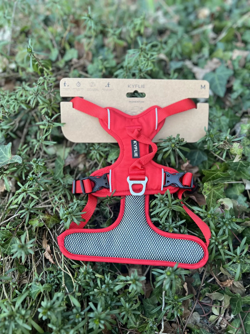 Kyflie Momentum rouge M