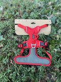 Kyflie Momentum rouge M
