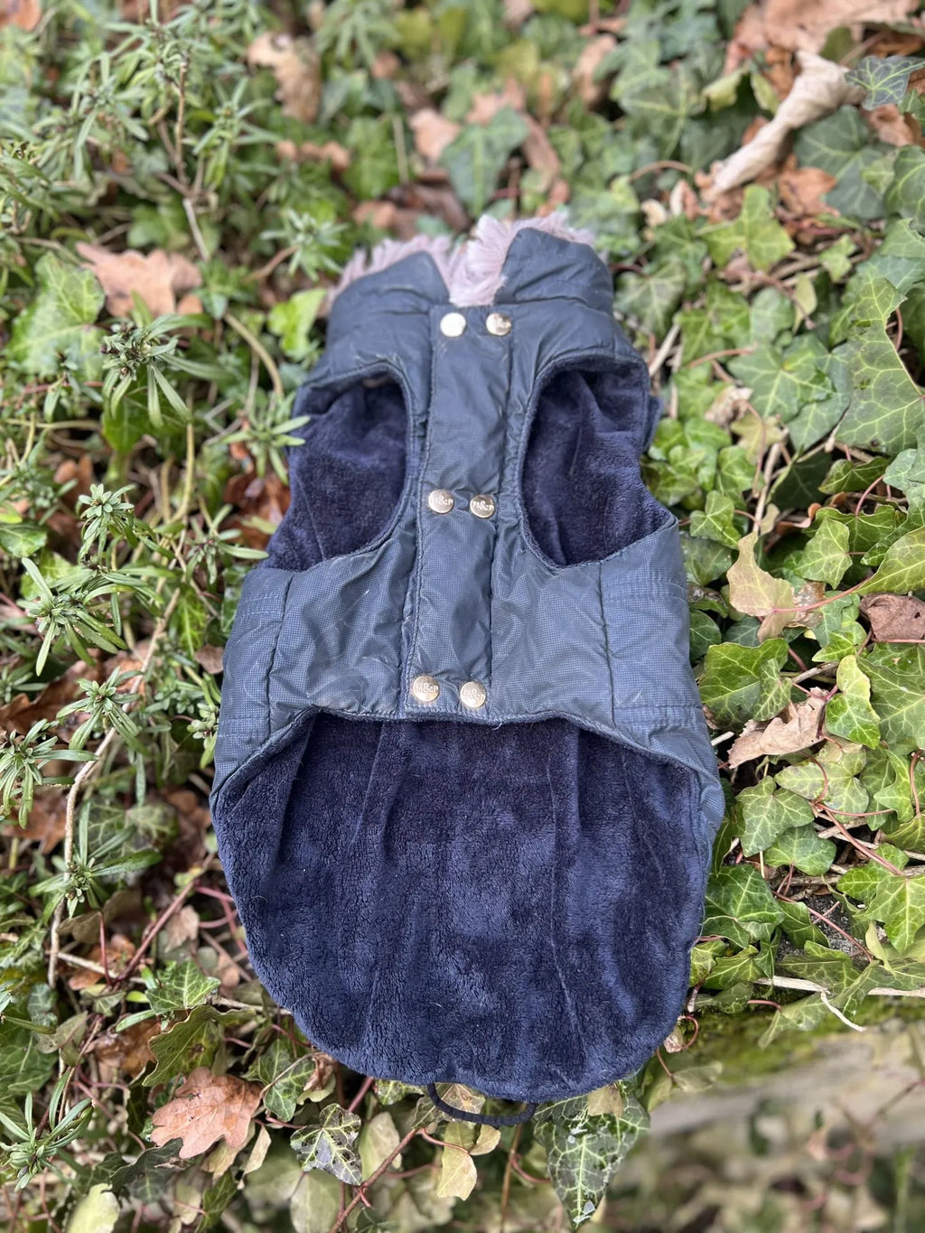Manteau Milk And Pepper, photo 2