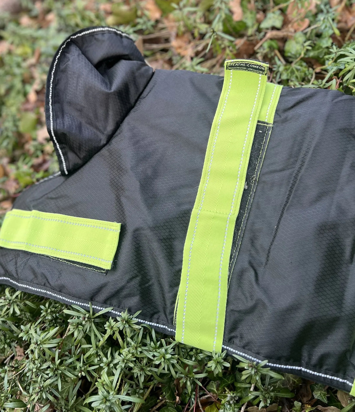 Manteau L, photo 2