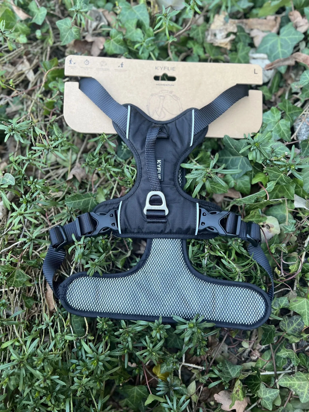Kyflie Momentum noir L