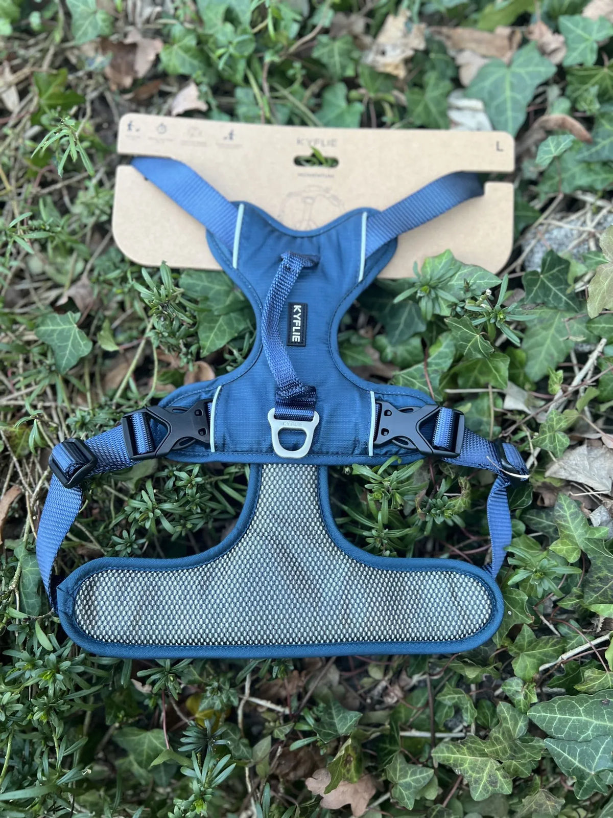 Kyflie Momentum bleu L