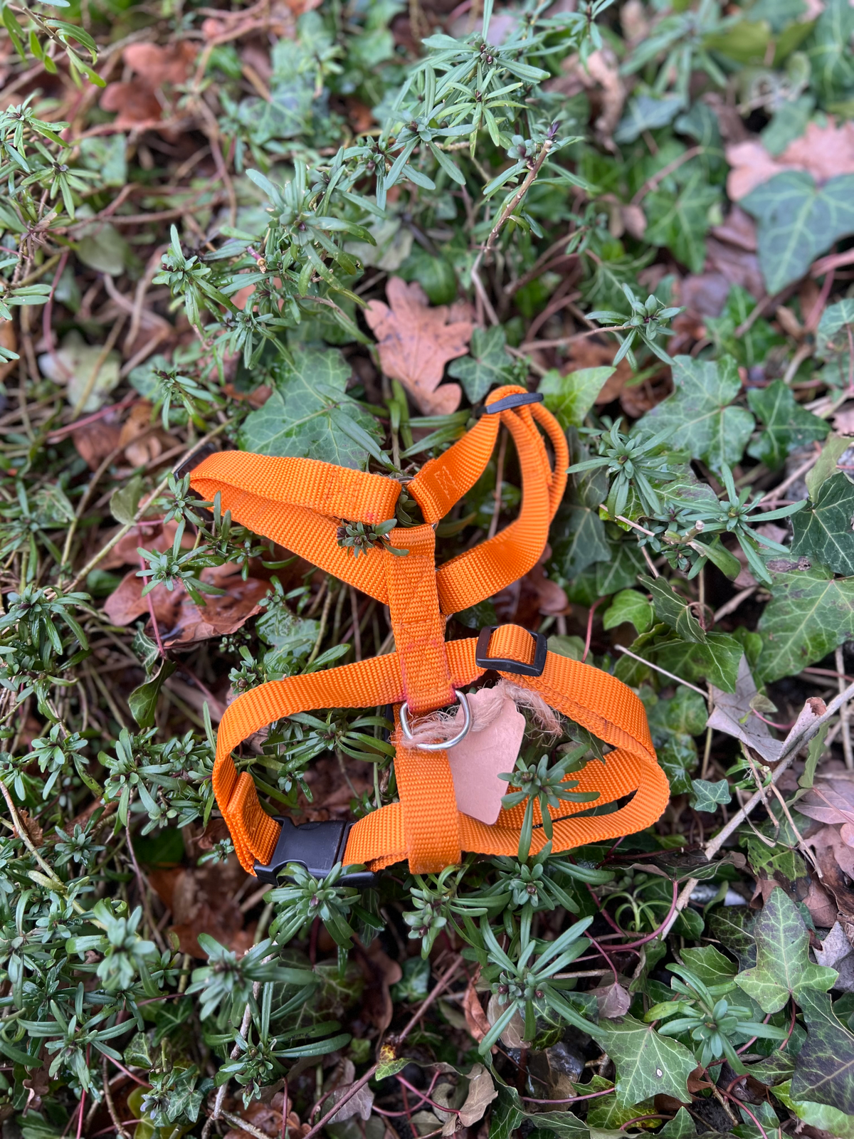 Harnais H Orange