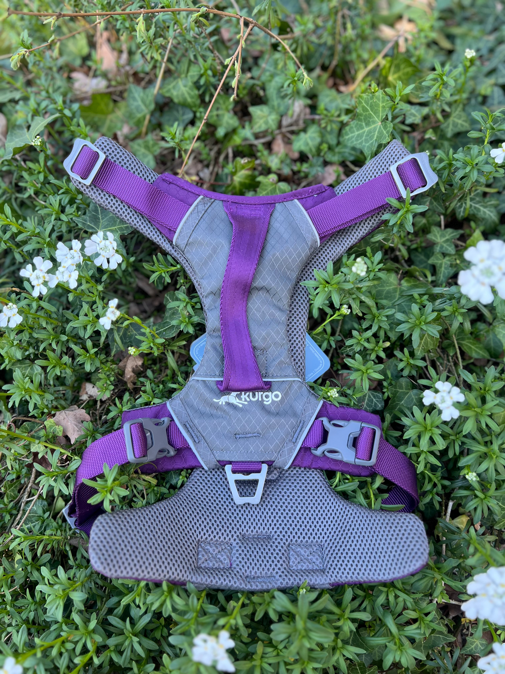 Harnais Kurgo Journey XL (36-50kg)