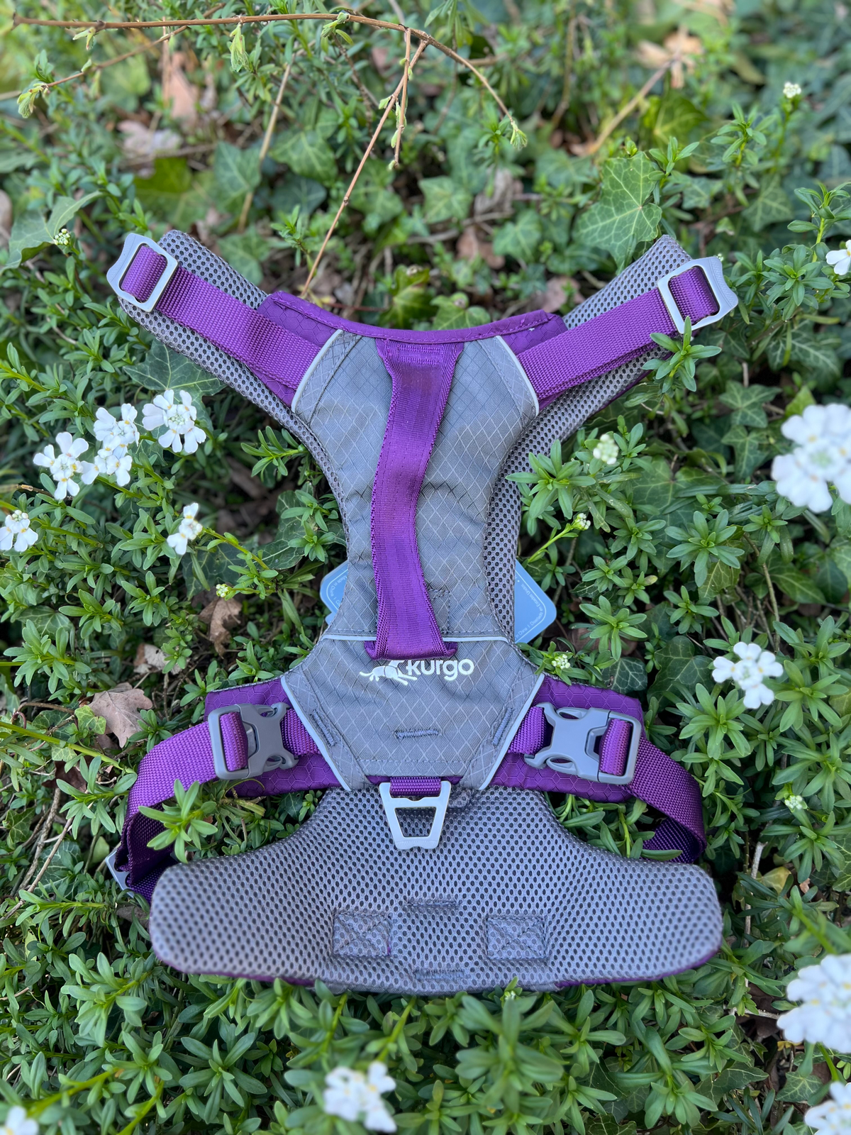 Harnais Kurgo Journey XL (36-50kg)