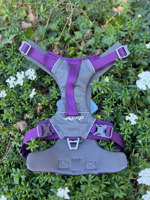 Harnais Kurgo Journey XL (36-50kg)