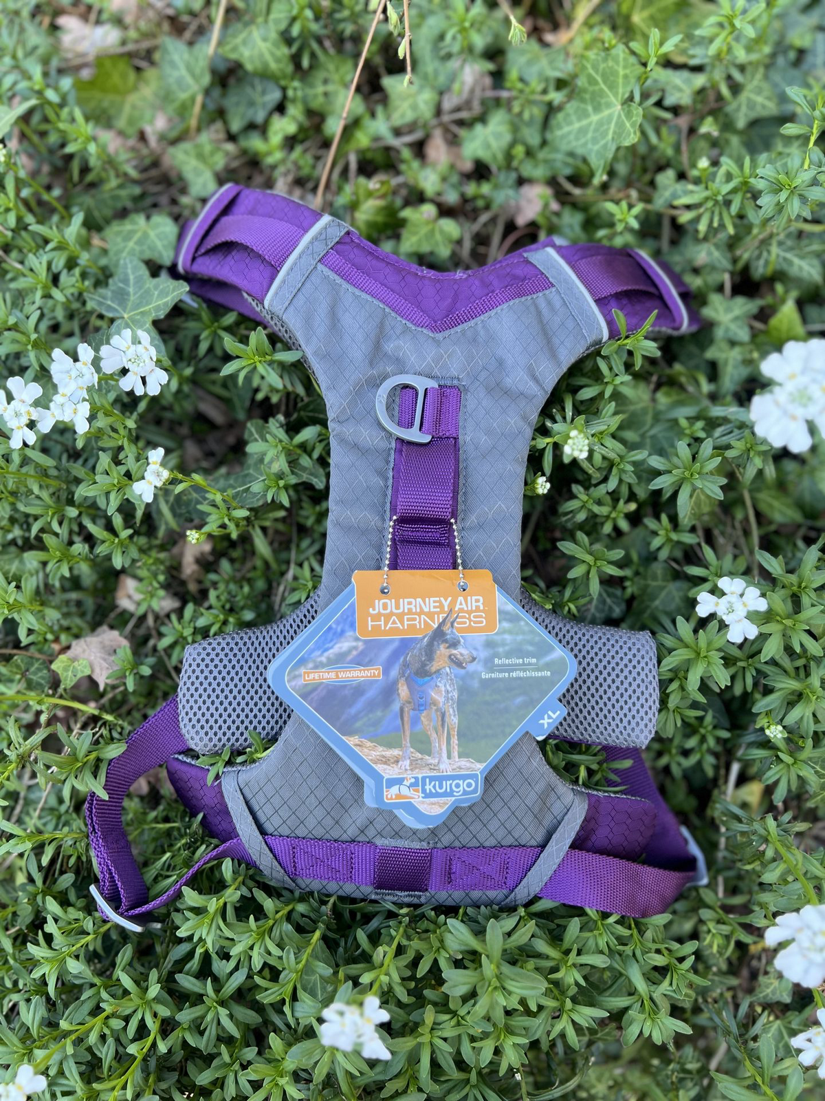 Harnais Kurgo Journey XL (36-50kg), photo 2