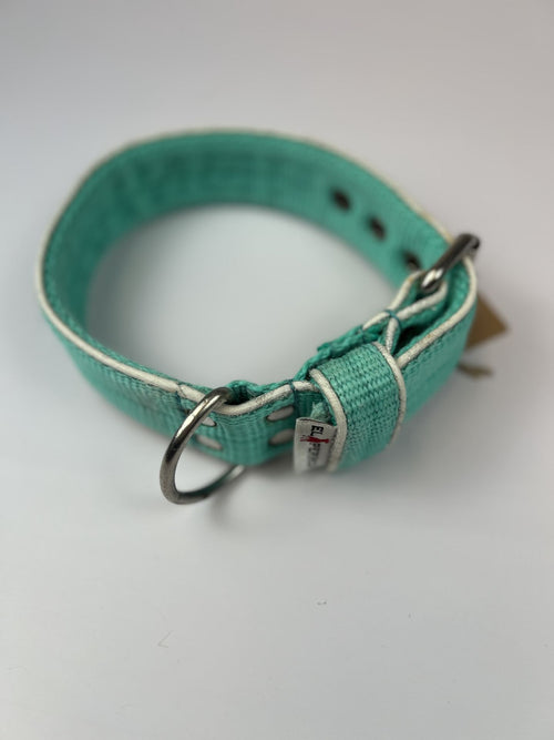 Collier bleu El Perro