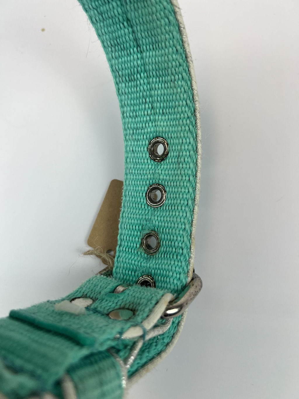 Collier bleu El Perro, photo 2