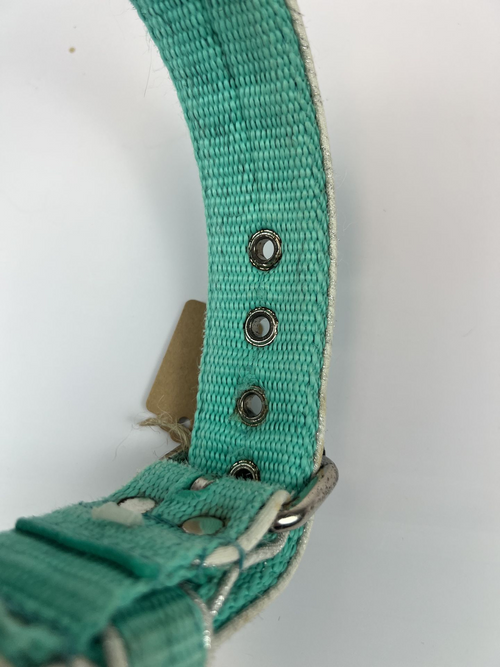 Collier bleu El Perro, photo 2